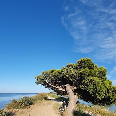 T2 Cosy A La Plage, Terrasse Vue Sur Mer Et Parking Privatif Narbona Zewnętrze zdjęcie