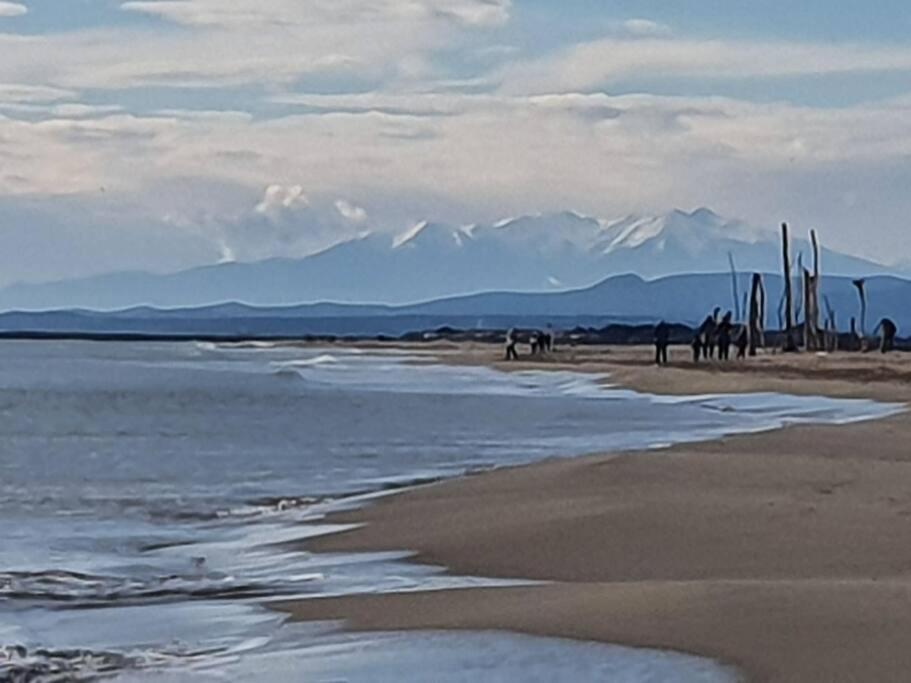T2 Cosy A La Plage, Terrasse Vue Sur Mer Et Parking Privatif Narbona Zewnętrze zdjęcie