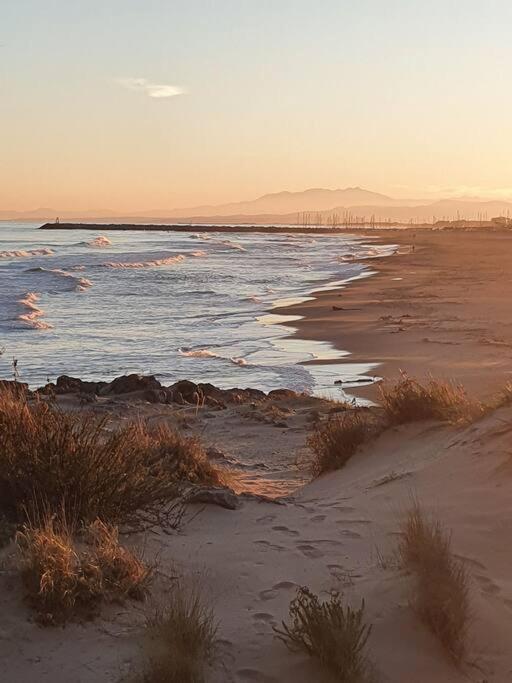 T2 Cosy A La Plage, Terrasse Vue Sur Mer Et Parking Privatif Narbona Zewnętrze zdjęcie