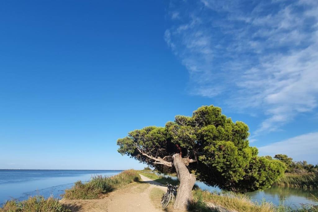 T2 Cosy A La Plage, Terrasse Vue Sur Mer Et Parking Privatif Narbona Zewnętrze zdjęcie